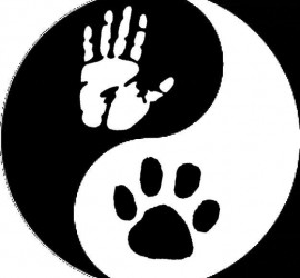 Reikicirkel voor Dieren