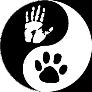 Reikicirkel voor Dieren